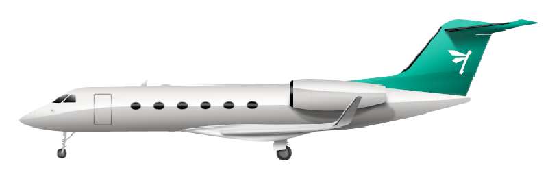 g400 01 - optional png.png